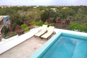 Private Roof w Plunge Pool Brand New 2 Br Penthouse for 6 sleeps